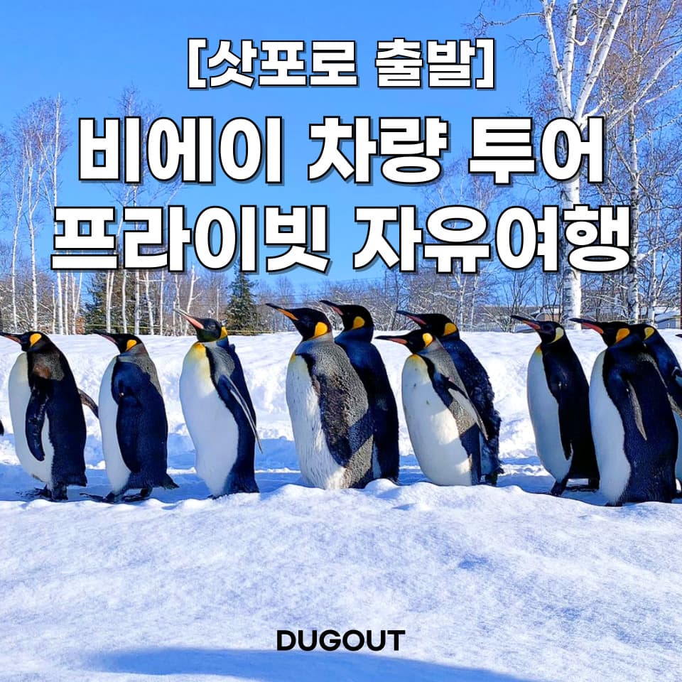삿포로 비에이 프라이빗 단독 차량투어 북해도, 홋카이도 여행